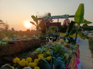 รายงานผลการจัดโครงการส่งเสริมอาชีพและสร้างรายได้ให้เกษตรกร