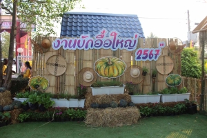 ประชาสัมพันธ์โครงการส่งเสริมอาชีพและสร้างรายได้ให้เกษตรกร ภายใต้ชื่อ &ldquo;งานบักอื๋อใหญ่ ประจำปี 2567&rdquo;